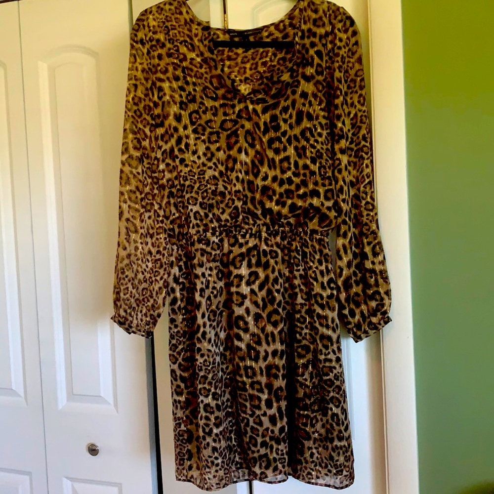 Animal print light, lined long sleeved, dress